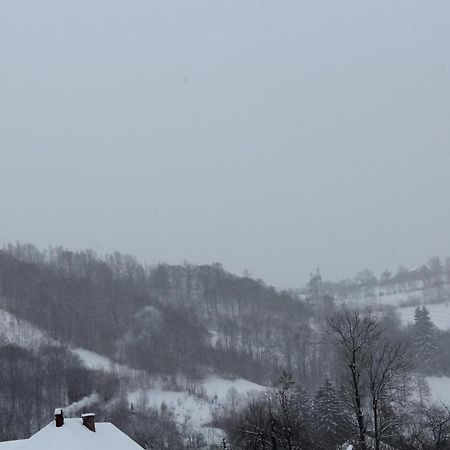 Pensiunea Iulia Bran  Camera foto