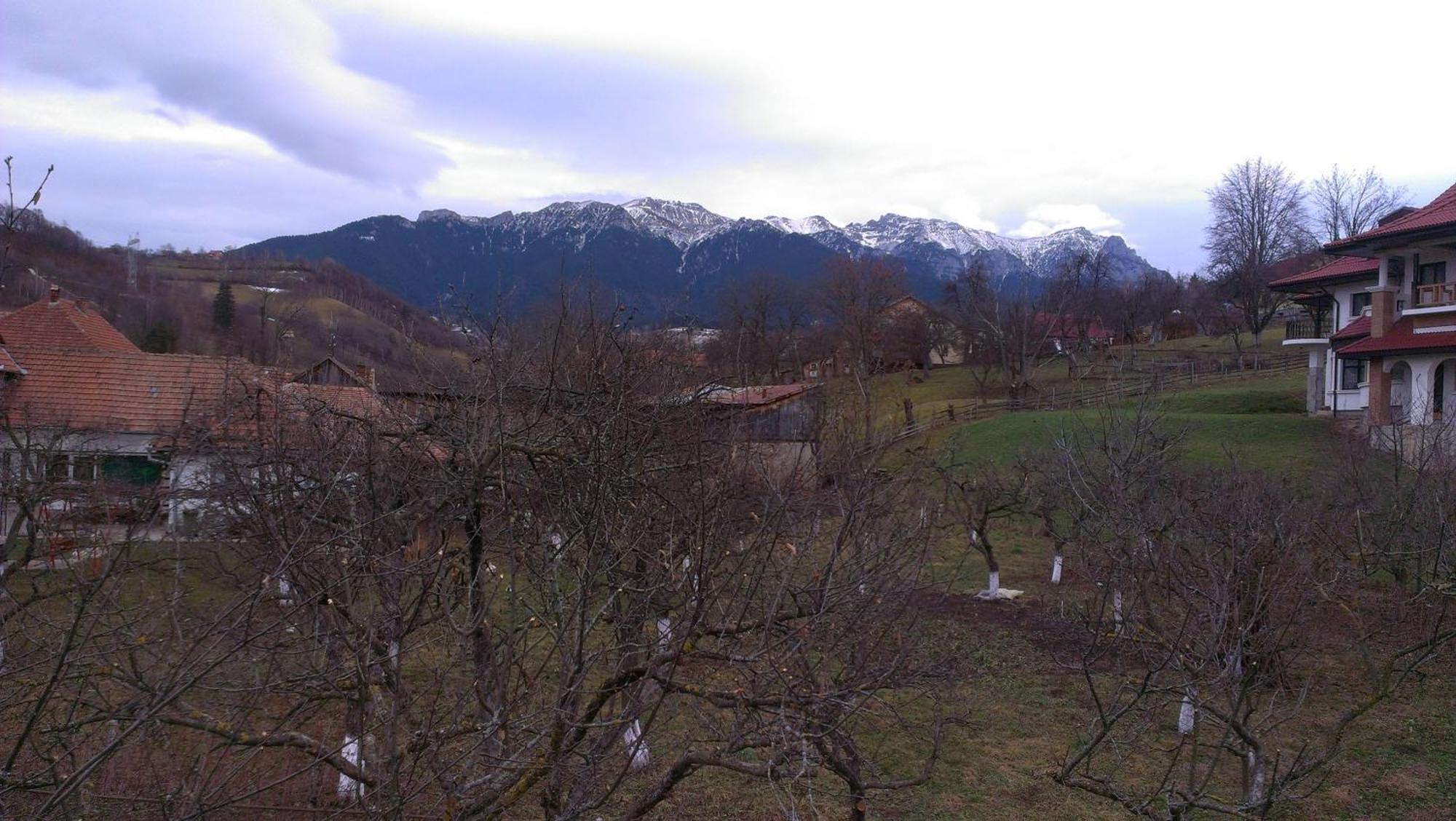 Pensiunea Iulia Bran  Camera foto